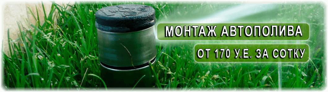 Автоматический полив обслуживание