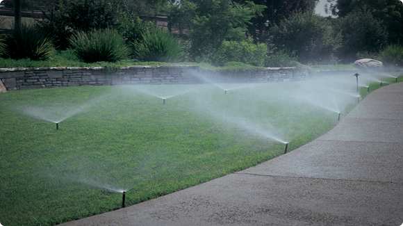 Оросители для полива