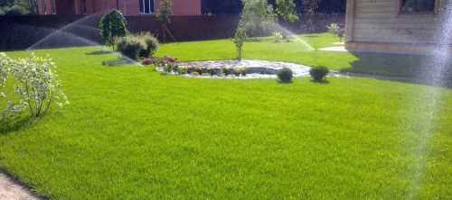 Автоматический полив газона