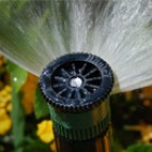 forsinki-dlya-poliva