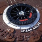 veernie-dojdevateli-prs-30