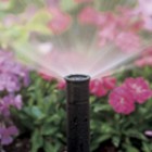 forsunki-nereguliruushie