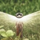 dojdevatel-veernii-US