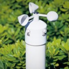 dachik-Hunter-WIND-CLIK